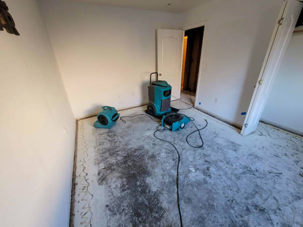  Killeen, TX Water damage restoration Pros