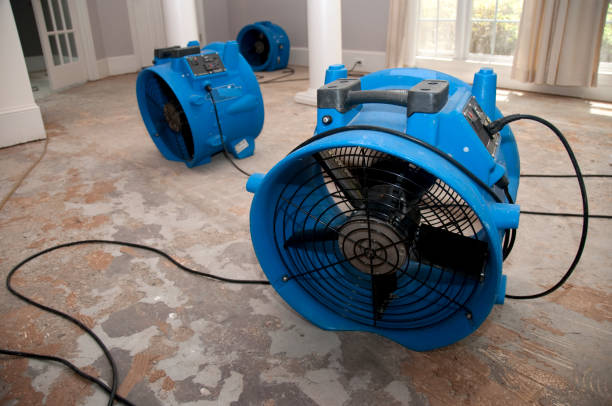 Best Water damage restoration cost  in Killeen, TX