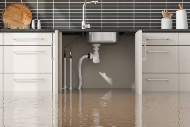 Best Flooded house restoration  in Killeen, TX